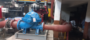Yaal Pumps