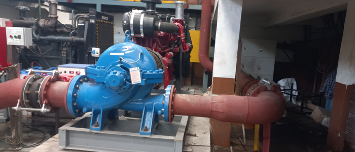 Yaal Pumps